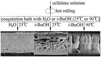 Carbohydrate Polymers